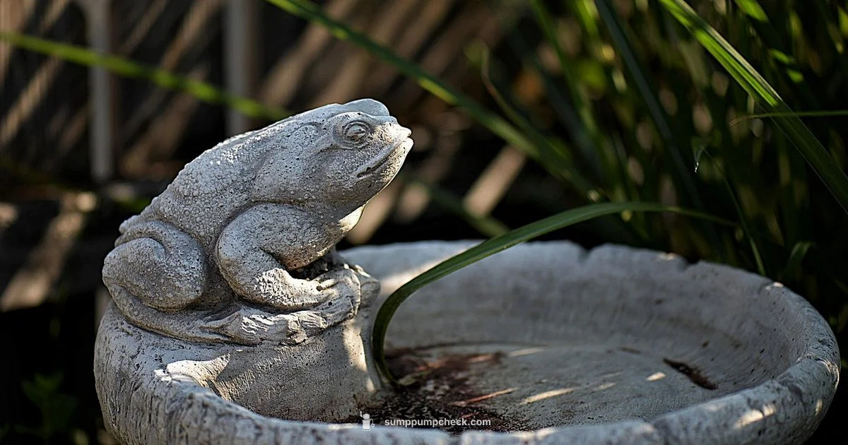 Basin Hole Guide - Sump Pump Check