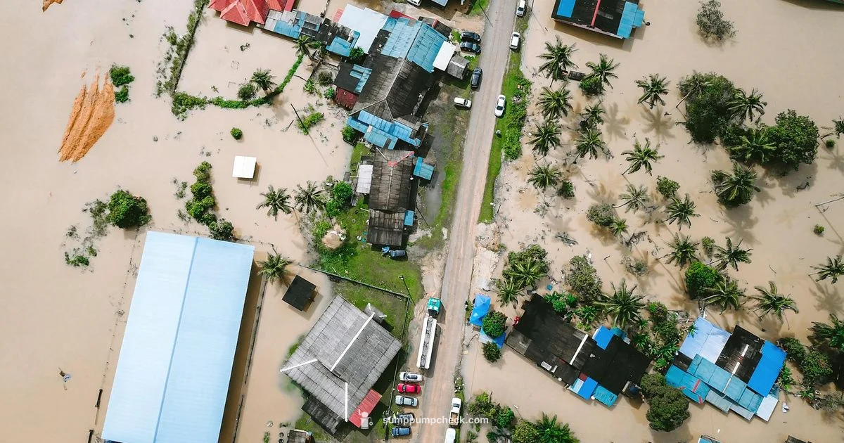 Flood-Ready Setup - Sump Pump Check
