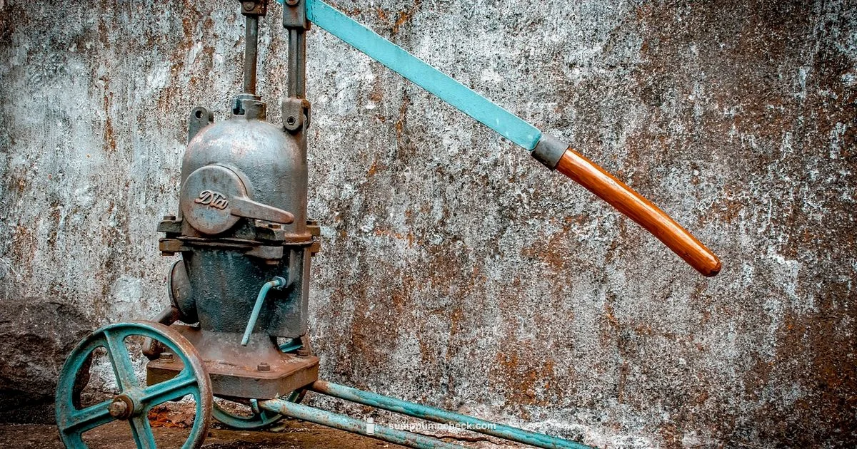 Direct Discharge Setup - Sump Pump Check