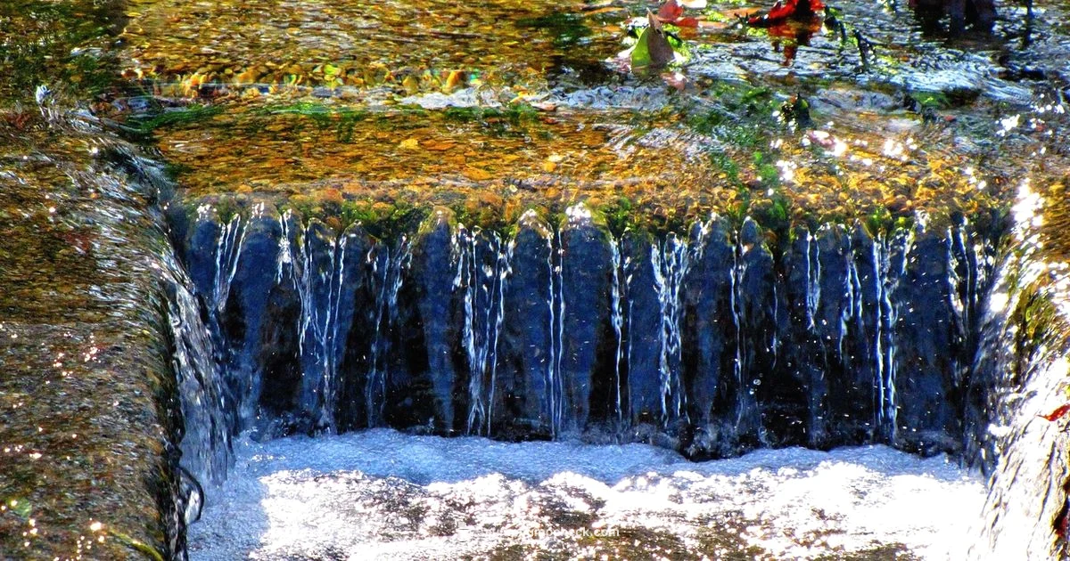 Drainage Setup - Sump Pump Check