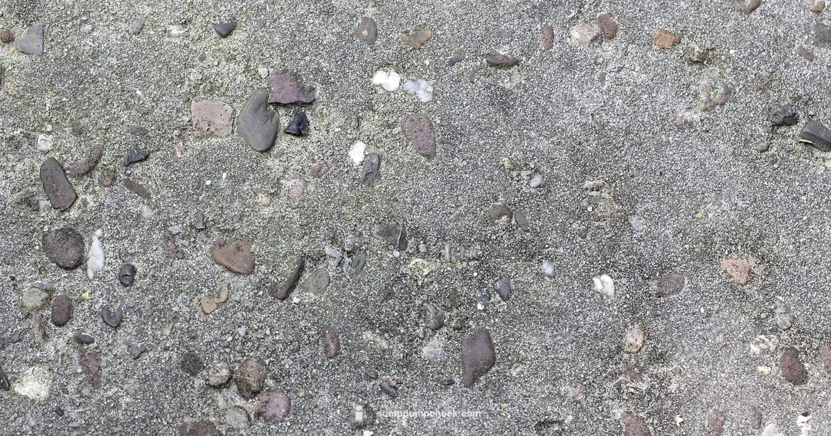 Basement Sump Pit - Sump Pump Check