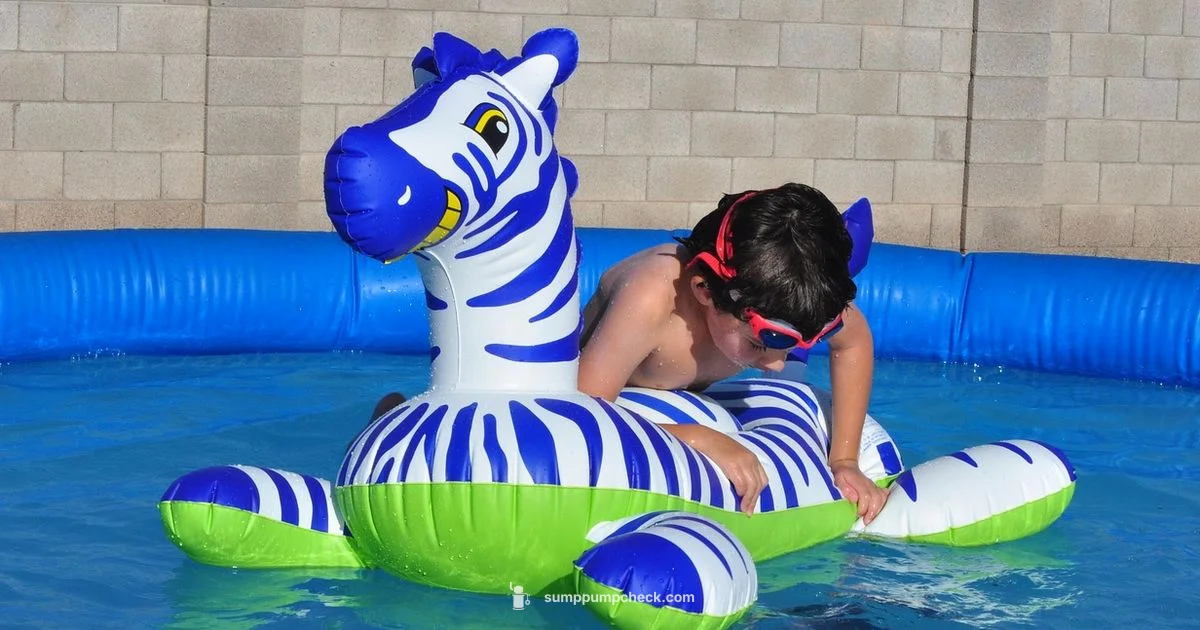 Pool Pump Picks - Sump Pump Check