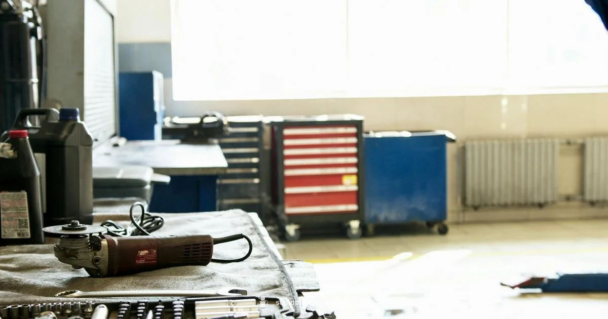 Barracuda 1/3 HP - Sump Pump Check