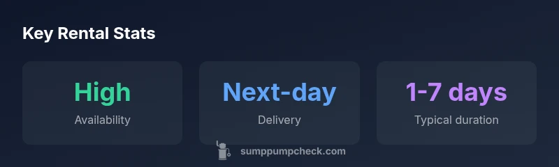 Stats infographic showing rental availability, delivery, and duration