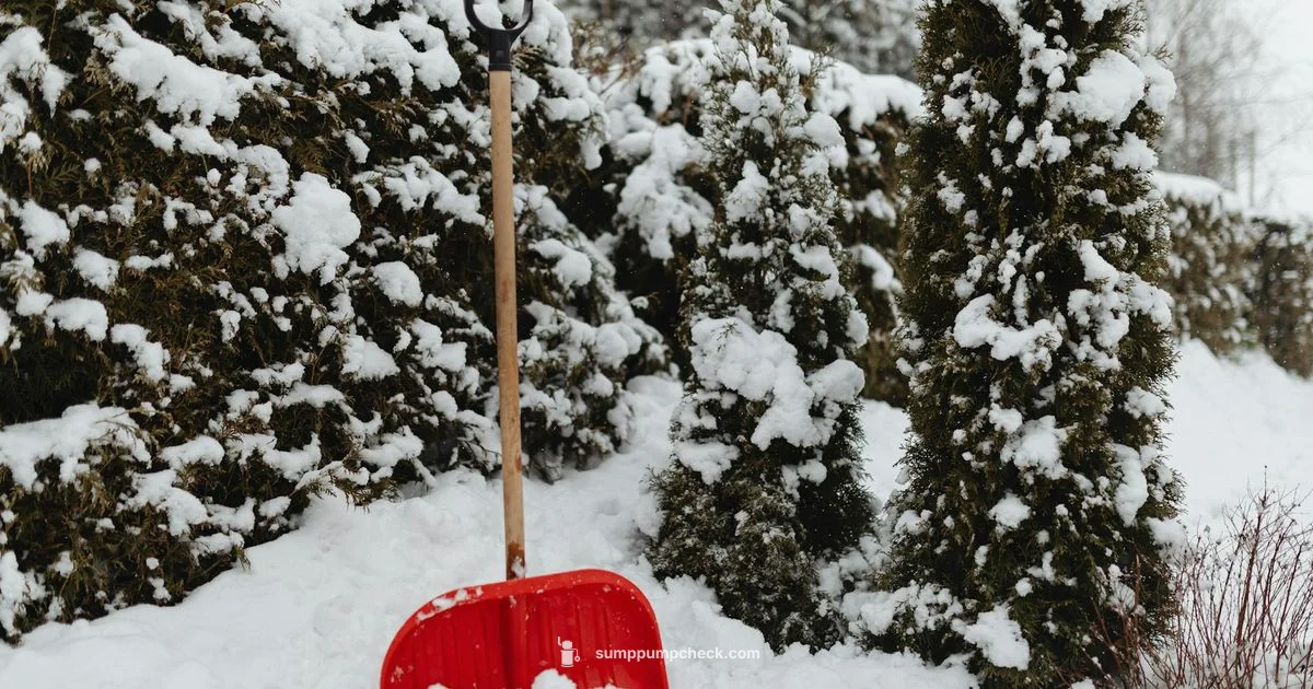 Winter Discharge Setup Winter Discharge Setup - Sump Pump Check