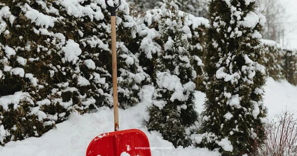 Winter Discharge Setup - Sump Pump Check